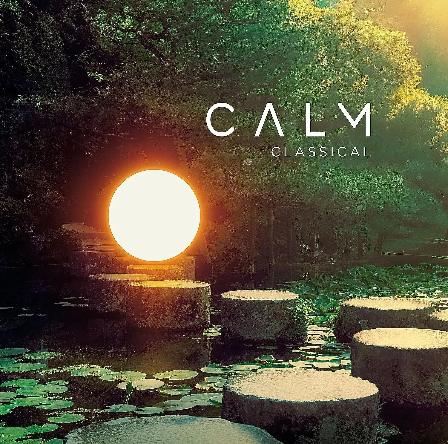 Various Artists Calm Classical (2LP)