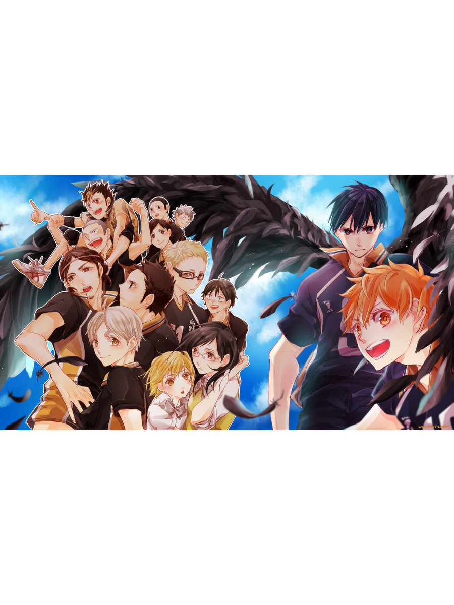 

Постер DRABS A2 Волейбол аниме Haikyuu 1