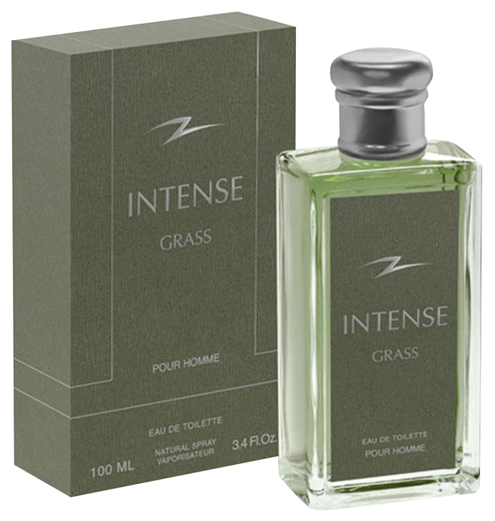 

Туалетная вода мужская Intense Grass, 100 мл 6249189