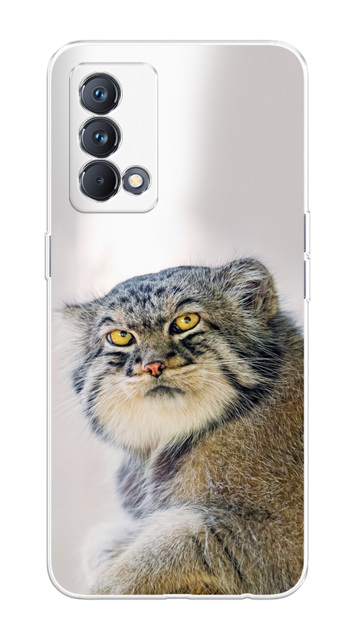 

Чехол на Realme GT Master Edition "Кот манул 1", Серый;белый;желтый, 2510450-1