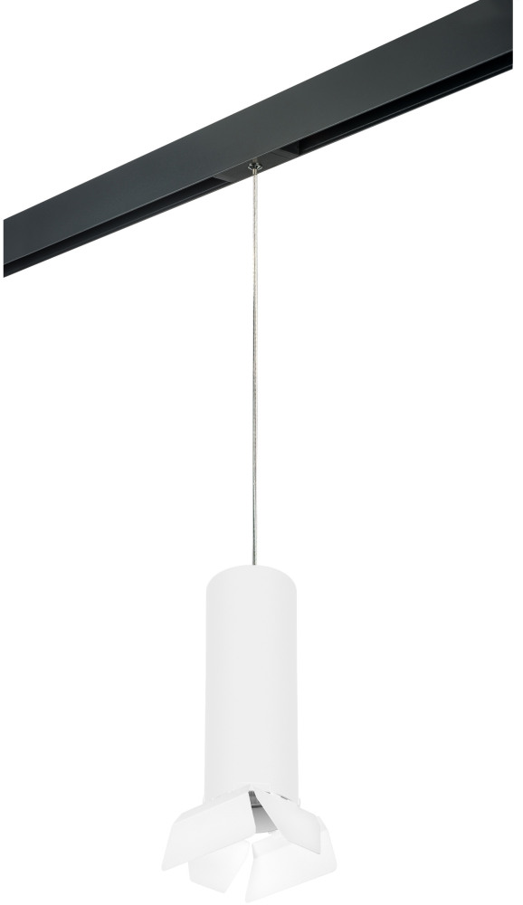 

Трековый светильник Rullo PRORP6496486 Lightstar