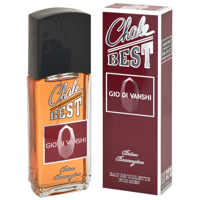 фото Туалетная вода мужская chale best gio di vanshi 95 мл 7823309 positive parfum