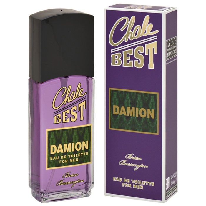 

Туалетная вода мужская Chale Best Damion 95 мл 7823312