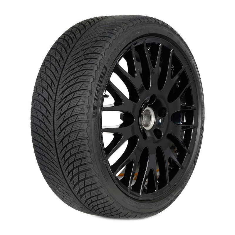 

Шины Michelin Pilot Alpin PA5 265/35R21 101V нешипованная