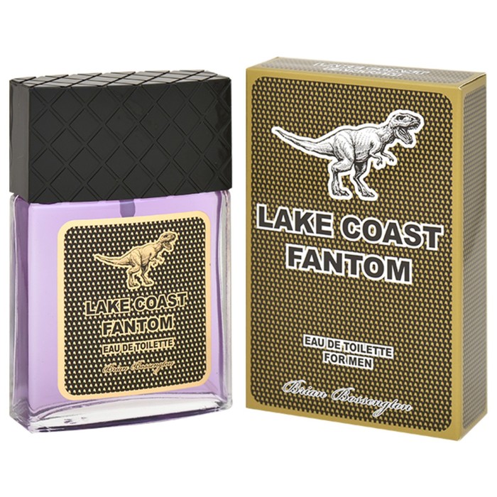 

Туалетная вода мужская Lake Coast Fantom 90 мл 7823281