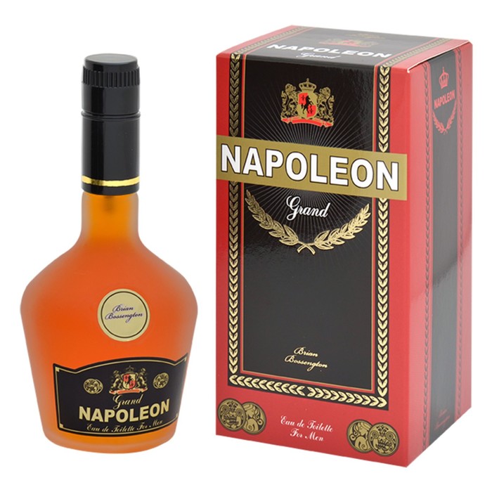 

Туалетная вода мужская Napoleon Grand 90 мл 7823245
