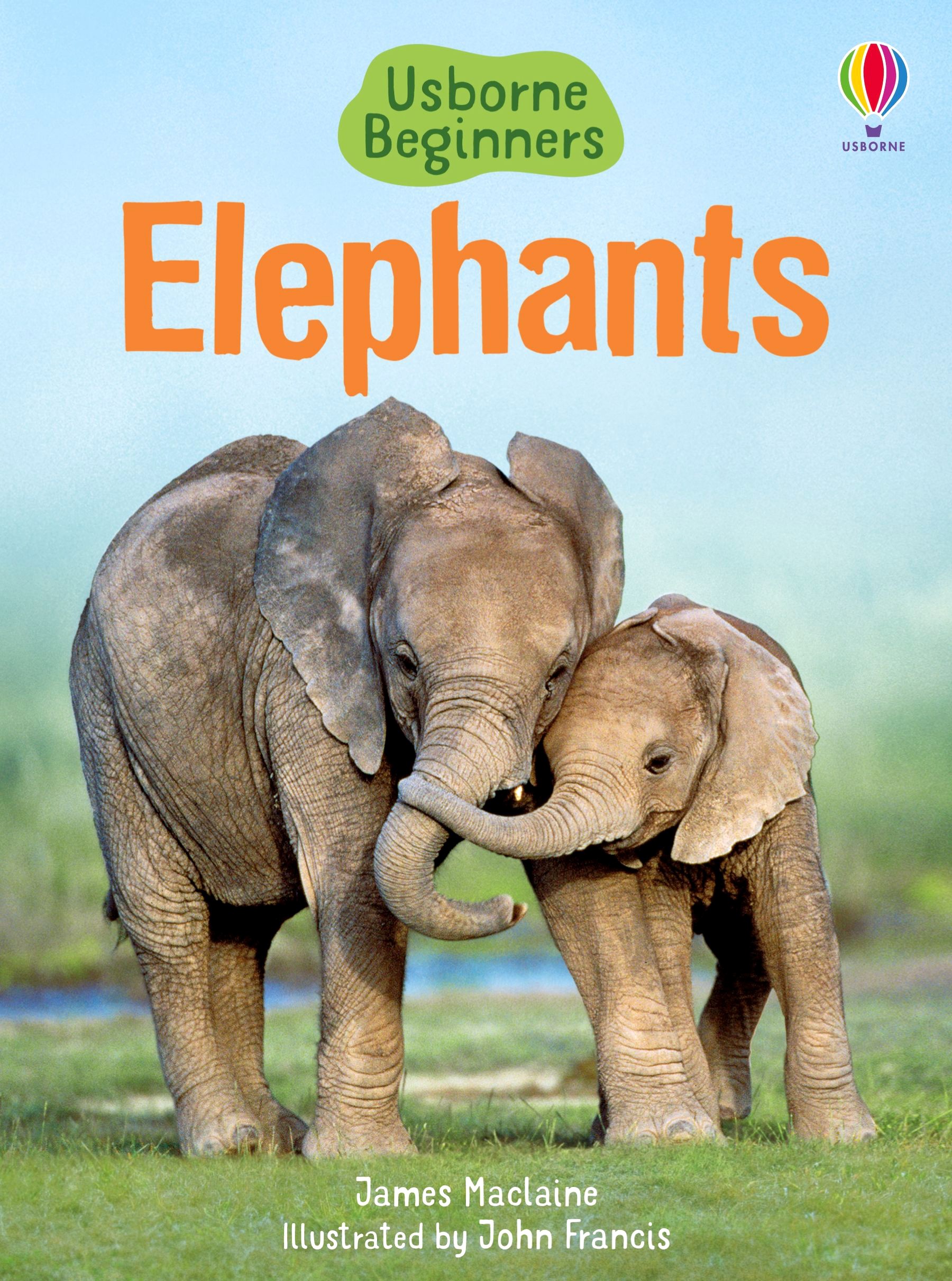 

Elephants