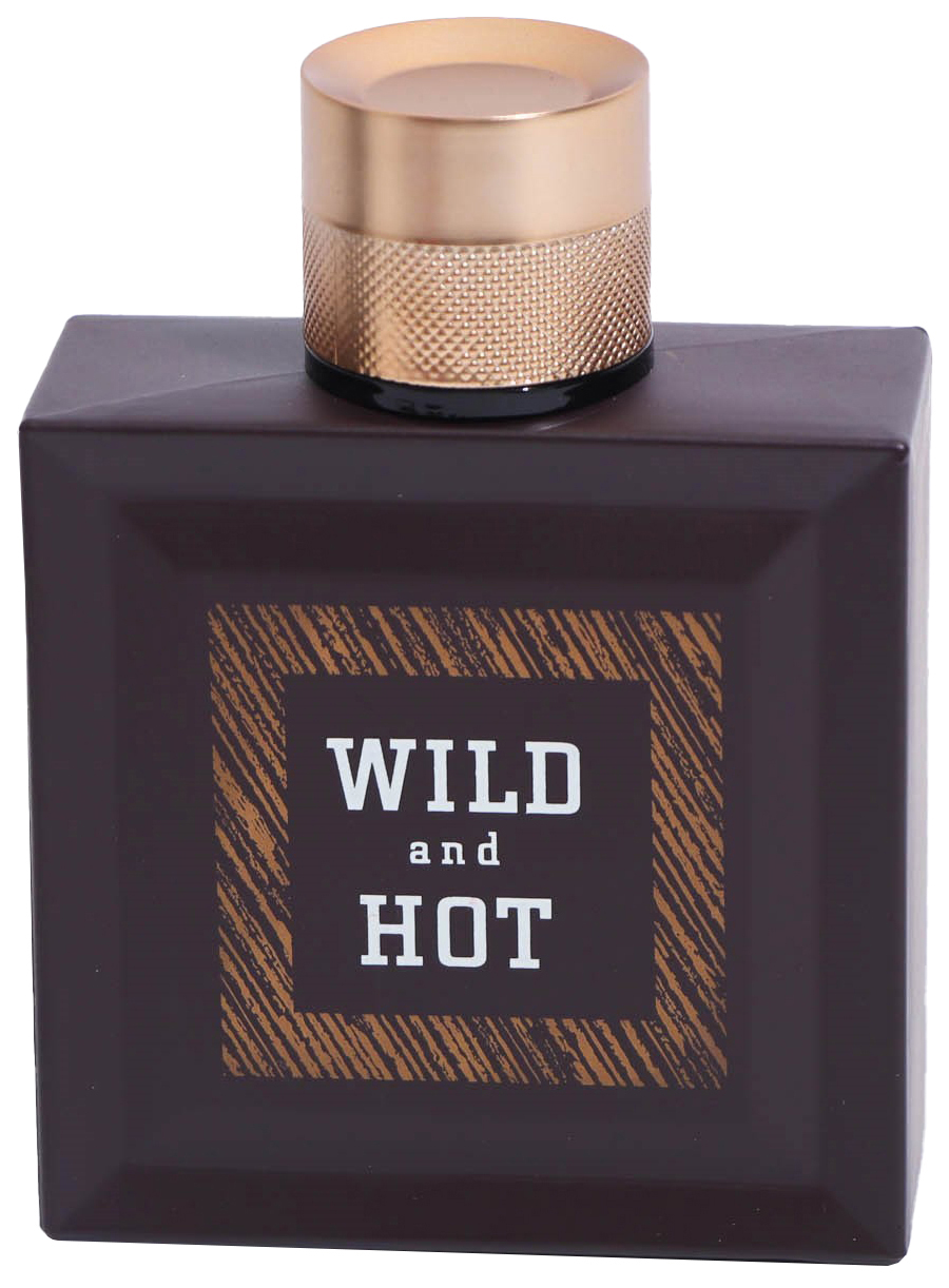 

Туалетная вода мужская Wild And Hot, 100 мл. 5866314, Wild And Hot Man, 100 мл
