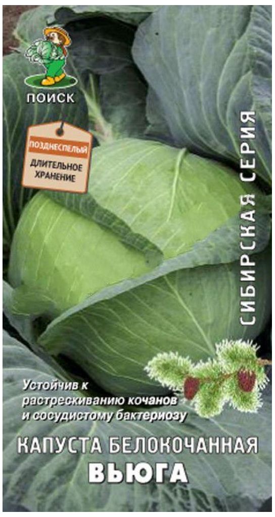 

Семена Капуста б/к Вьюга Сибирская серия ПОИСК 0,5 г