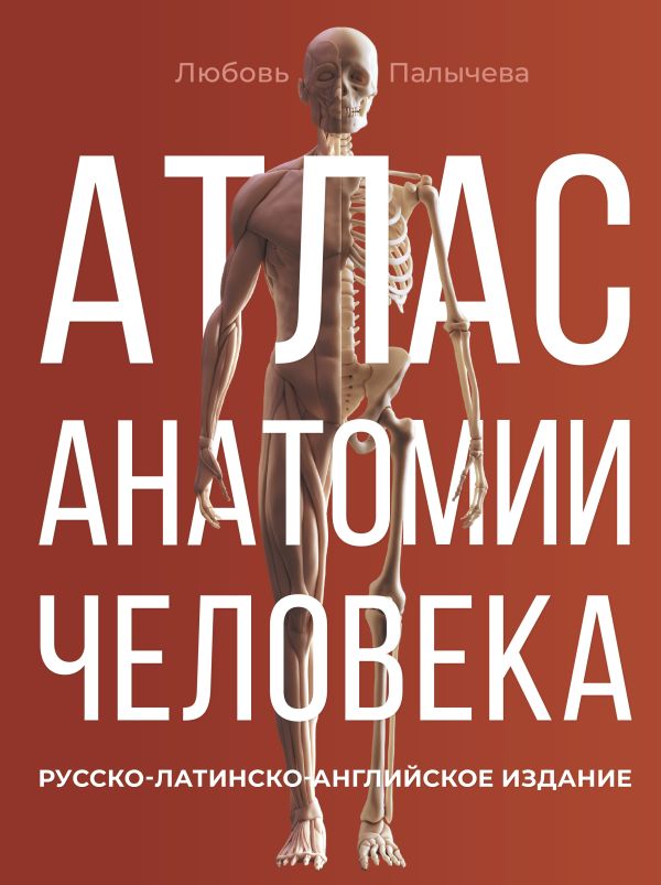 

Атлас анатомии человека