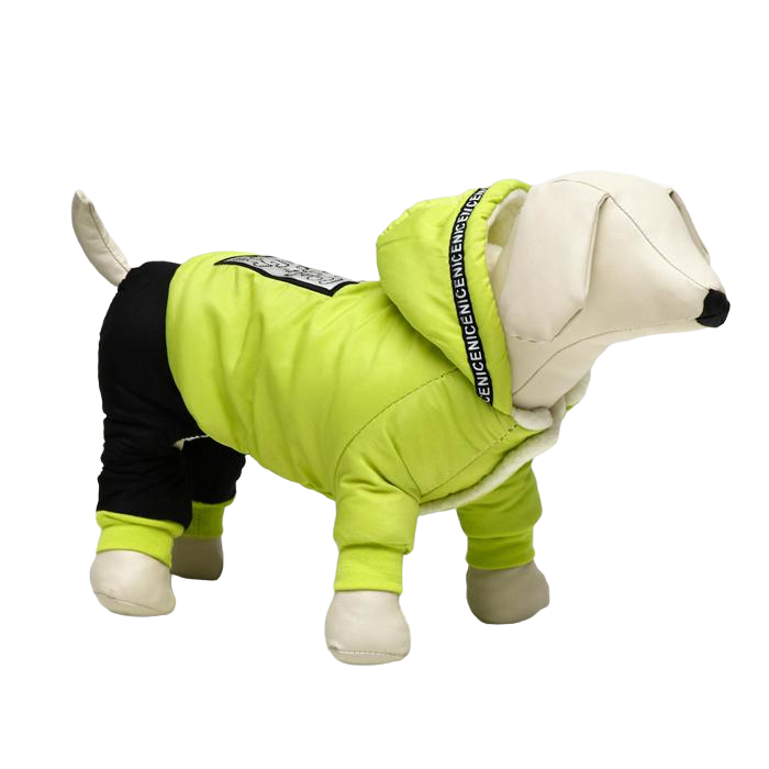 фото Комбинезон dog care, размер s (дс 23, ош 22, ог 33 см), зелёный nobrand