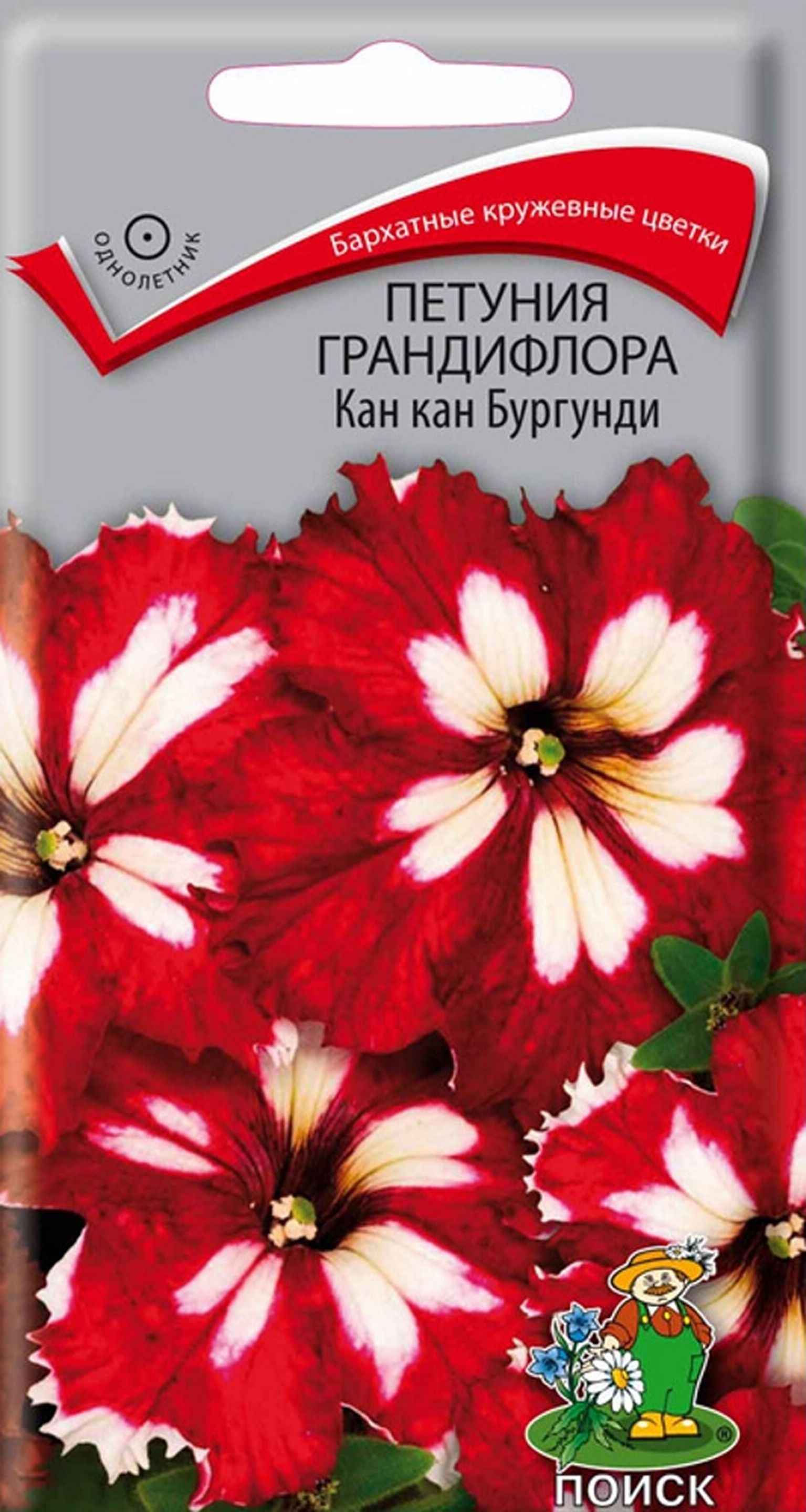 

Семена Петунии крупноцветковой ПОИСК Кан Кан бургунди 10 шт