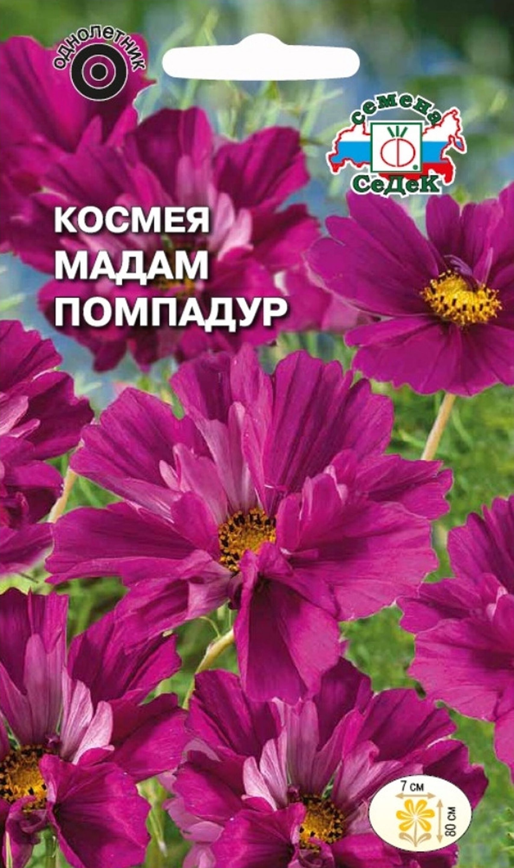 

Семена Космеи СеДеК Мадам Помпадур 3 г