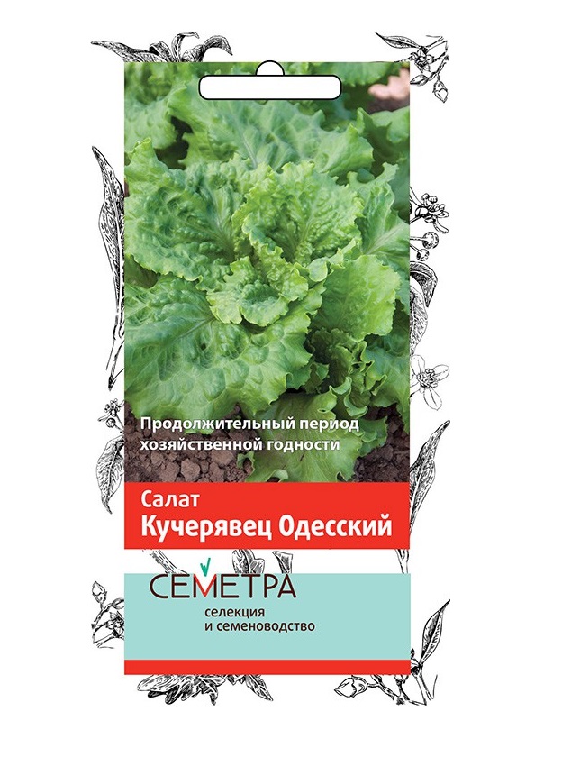 

Семена салата Поиск Кучерявец Одесский 1 г