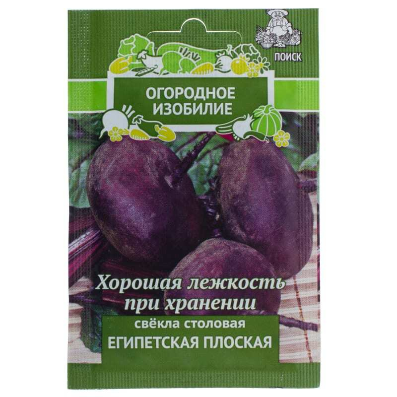 

Семена свекла Египетская Поиск