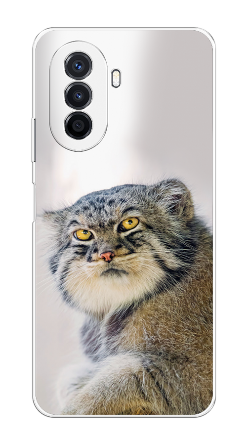 

Чехол на Huawei Nova Y70/Y71 "Кот манул 1", Серый;белый;желтый, 6122950-1