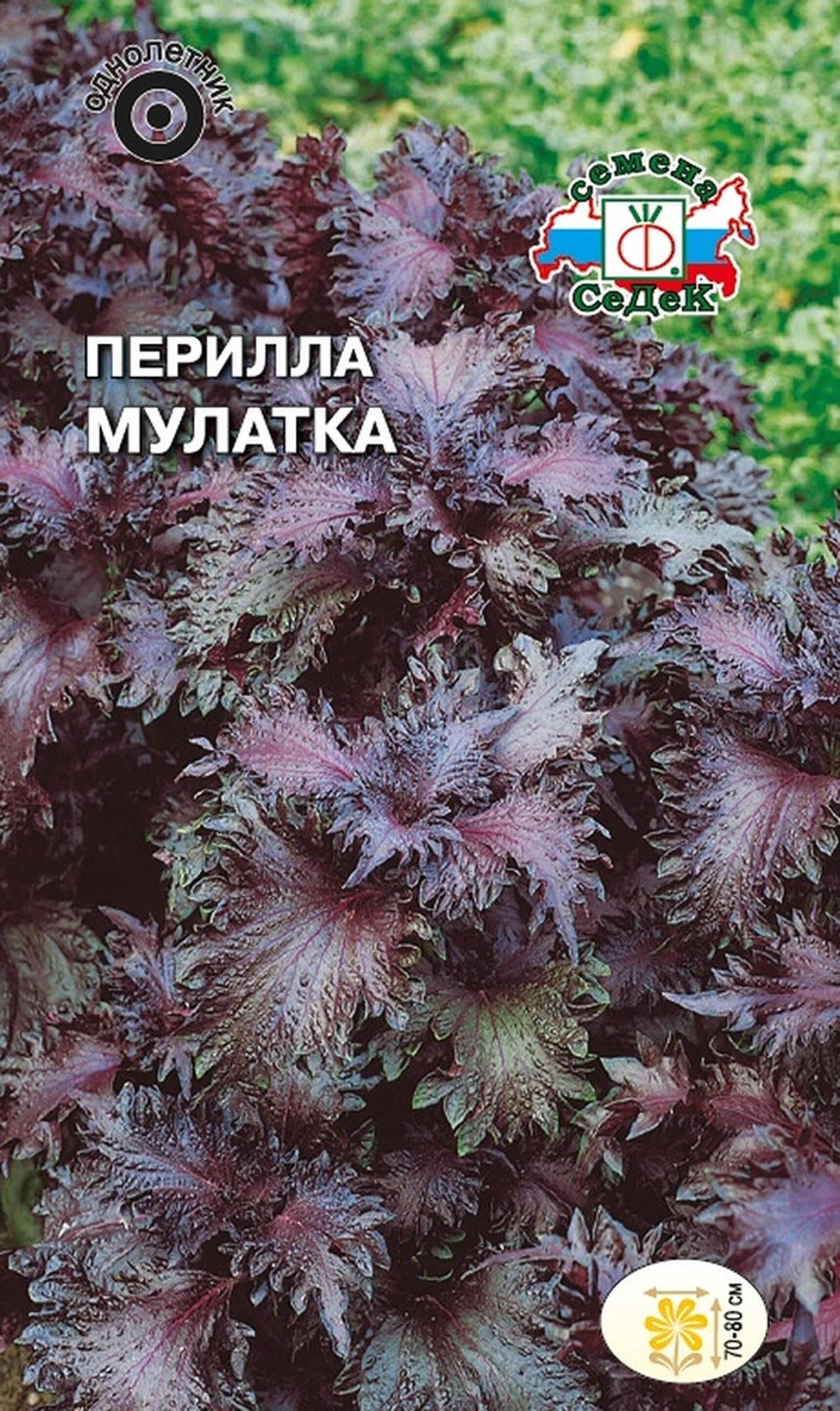 

Семена Периллы СеДеК Кустарниковая Мулатка 0,1 г