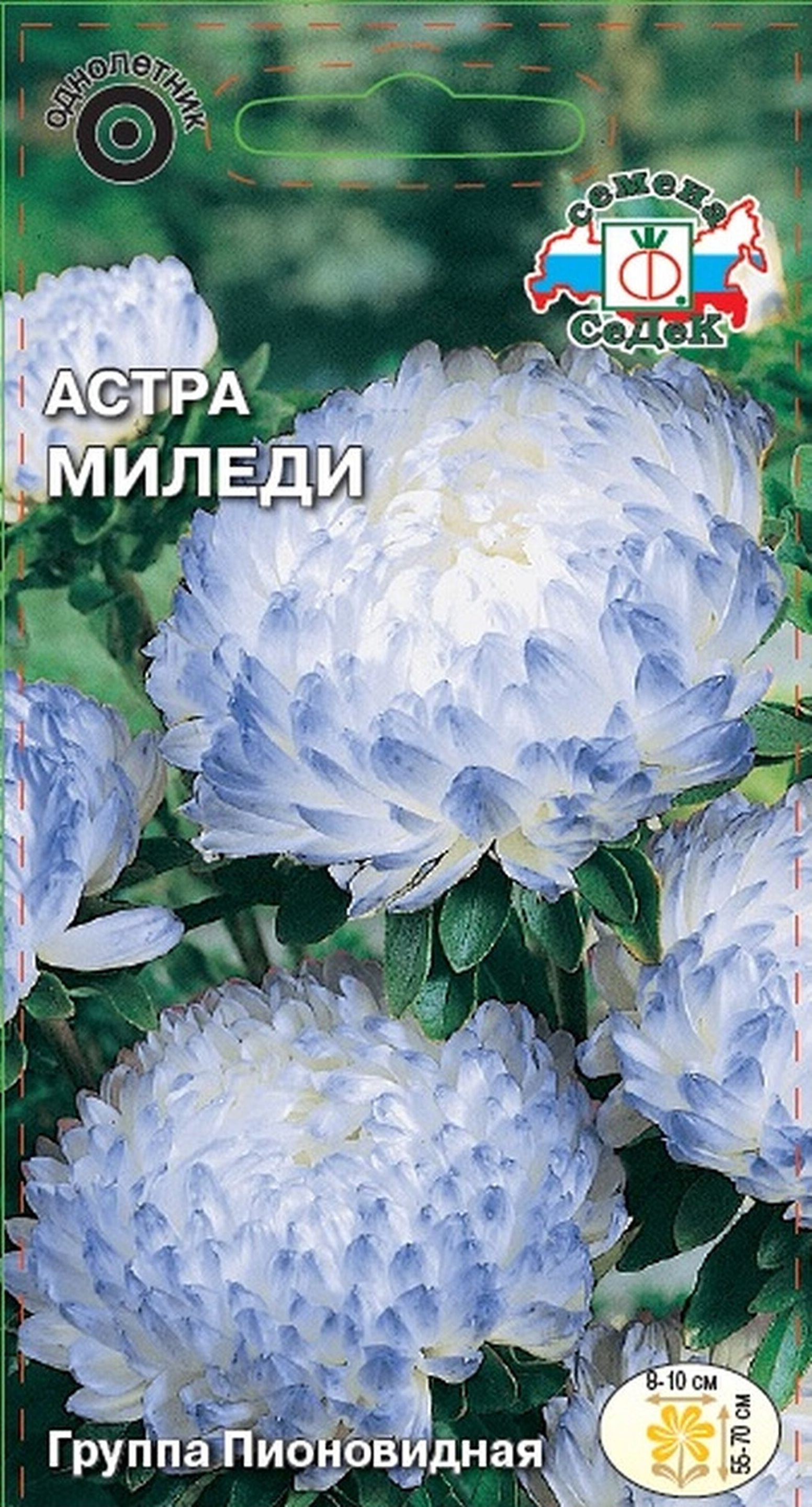 

Семена Астры СеДеК Миледи 0,2 г