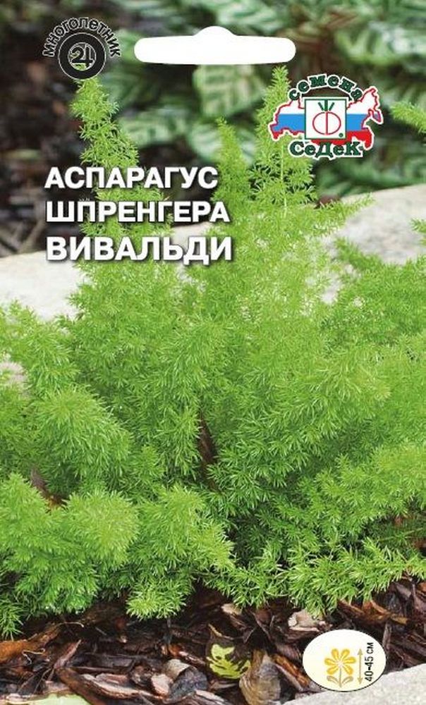 

Семена Спаржи СеДеК Вивальди Шпренгера 0,25 г