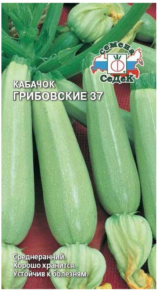

Семена Кабачка СеДеК Грибовские 37 2 г
