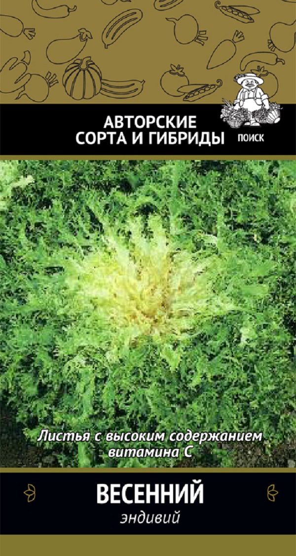 

Семена Эндивии ПОИСК Весенний 0,5 г