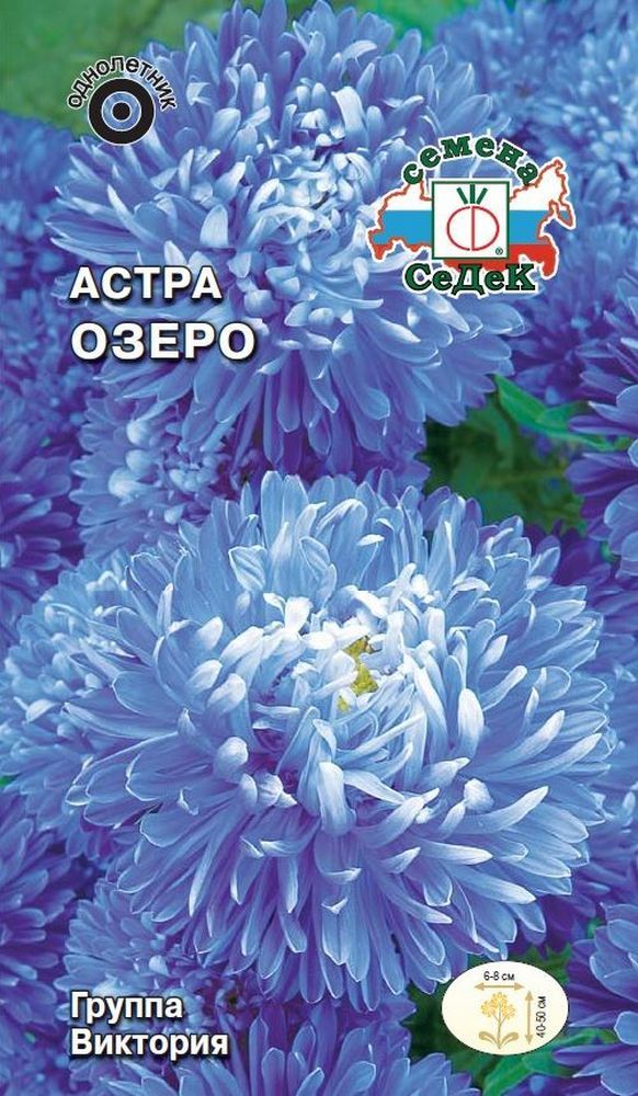 

Семена Астры СеДеК Озеро 3 г