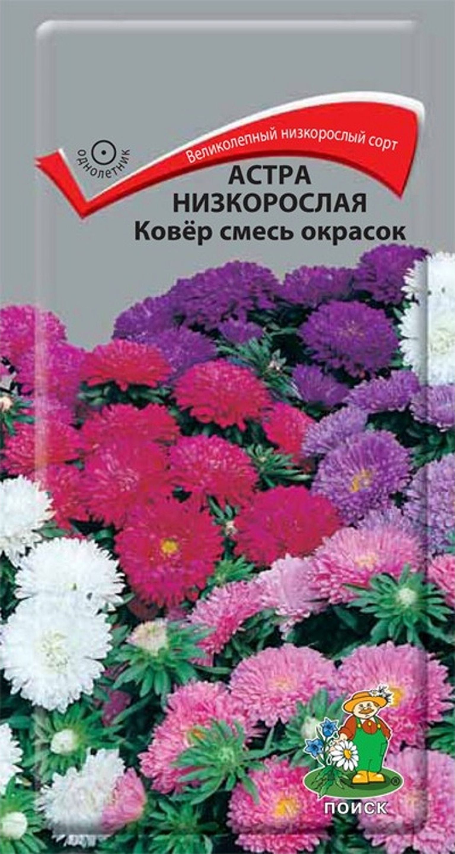 

Семена Астры низкорослой ПОИСК Ковер 0,2 г