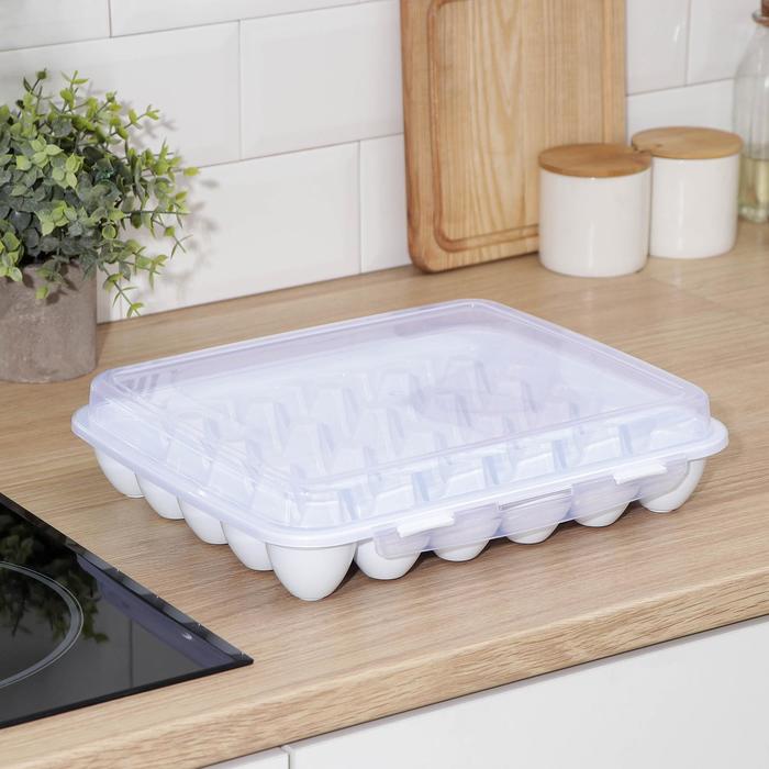 Контейнер Plast'ART, 7064445, для хранения яиц, 30 ячеек, 32,5x27,5x7,5 см