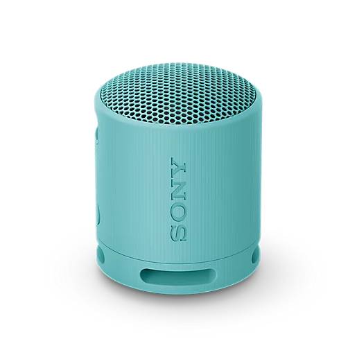 Портативная колонка Sony SRS-XB100 Blue (SRSXB100L.CE7) синий