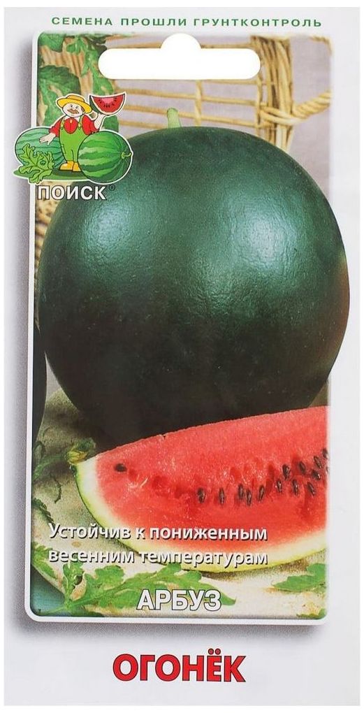

Семена Арбуза ПОИСК Огонек 15 г
