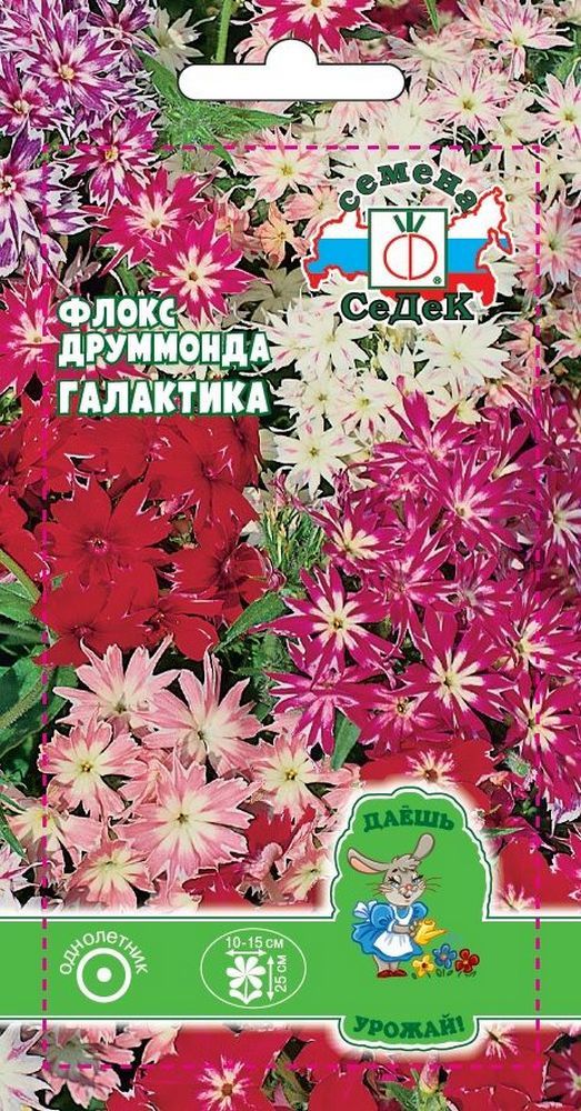 

Семена Флокса друммонда СеДеК Галактика смесь 3 г