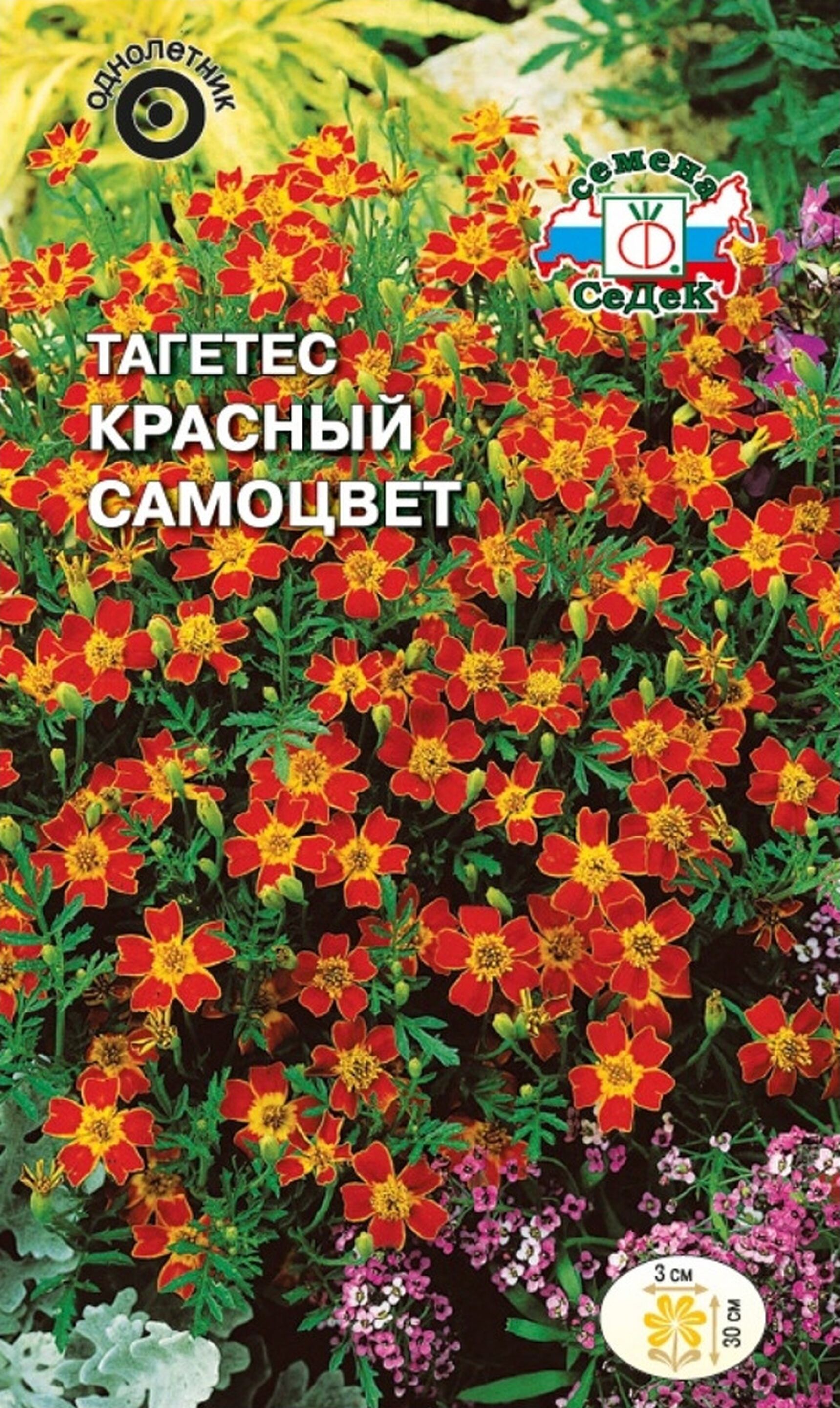 

Семена Бархатца СеДек Красный Самоцвет 0,1 г