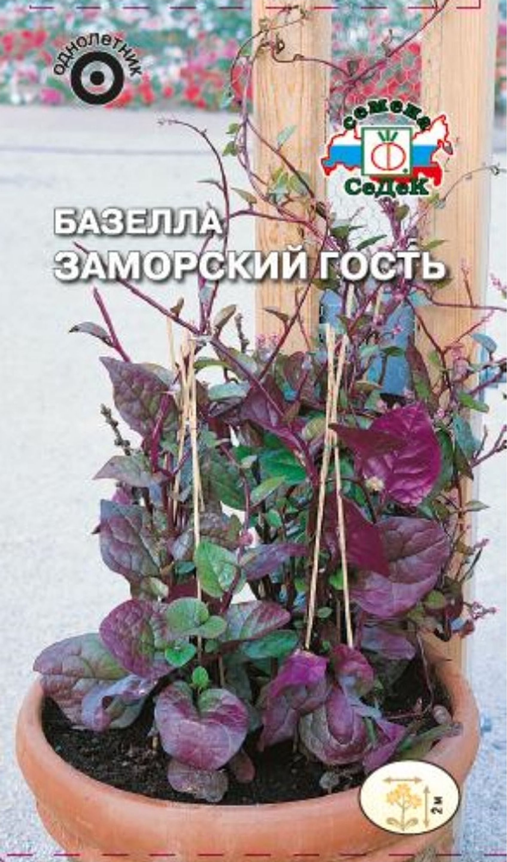 

Семена Базеллы СеДек Заморский гость 0,2 г