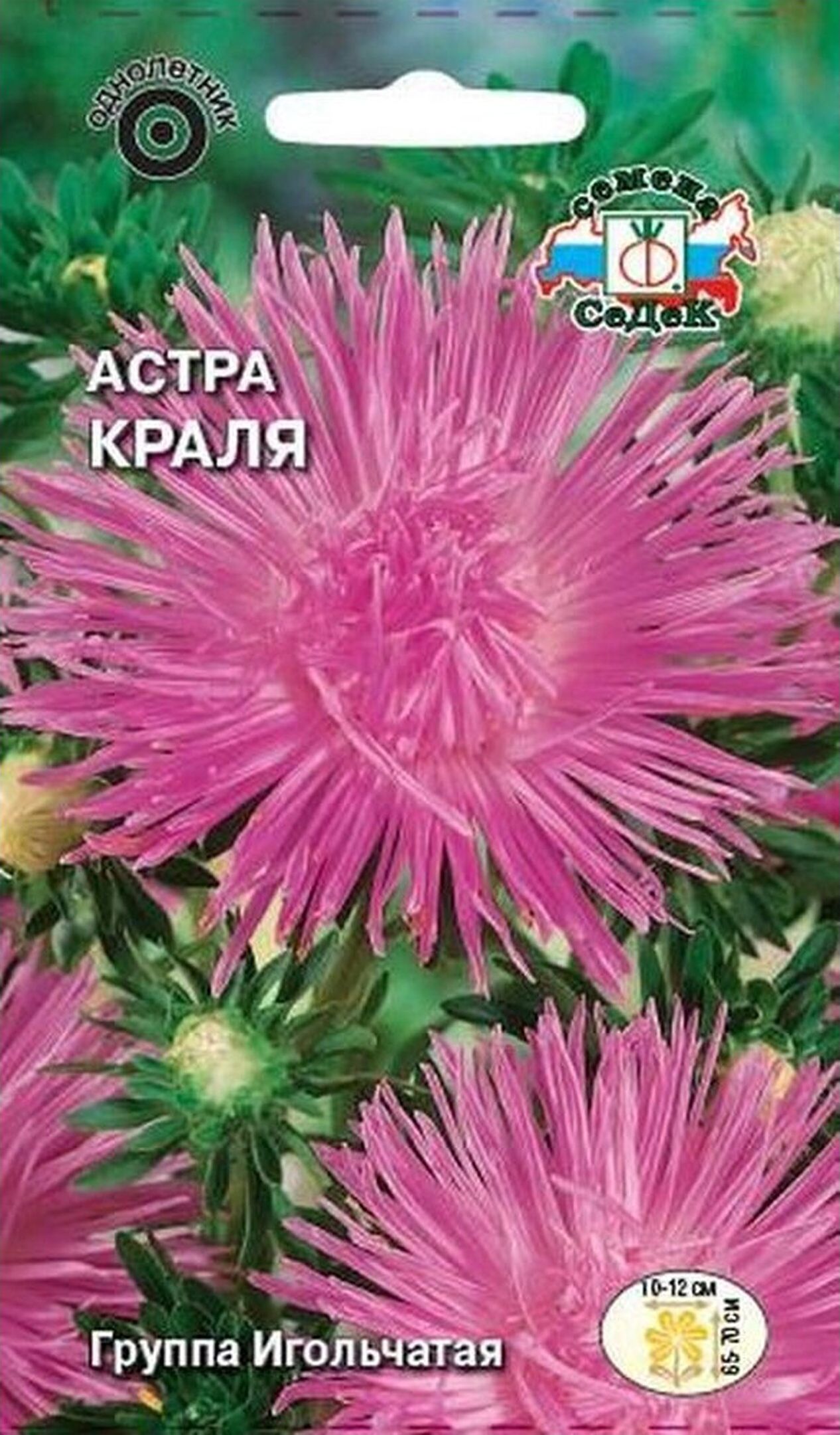 

Семена Астры СеДеК Краля 0,25 г