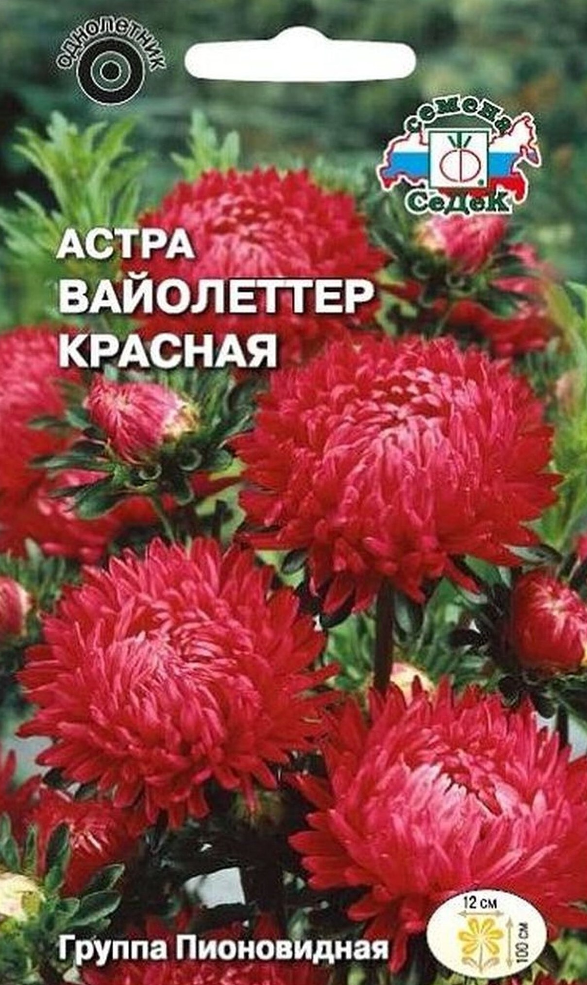 

Семена Астры СеДеК Вайолеттер красная 0,4 г