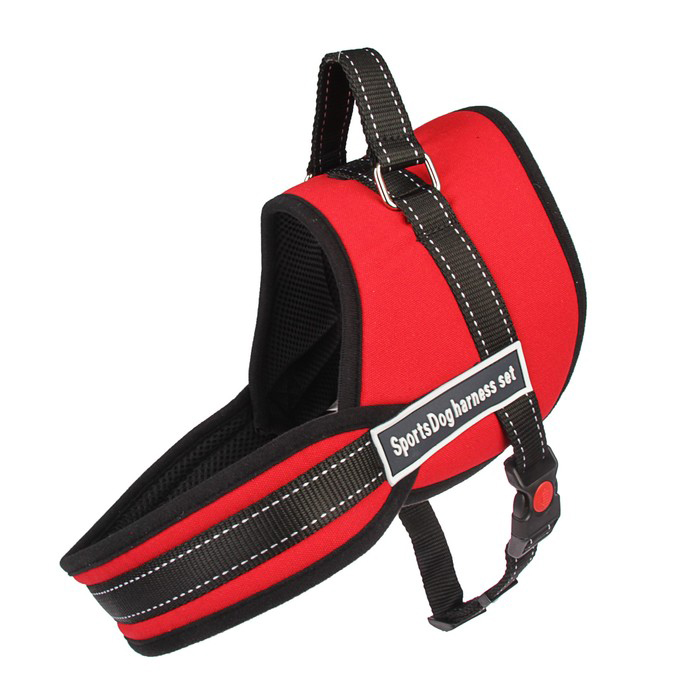 

Шлейка Пижон, с подкладом, размер XL (ОШ 68, ОГ 68-86 см), стропа 2,5 см, красная