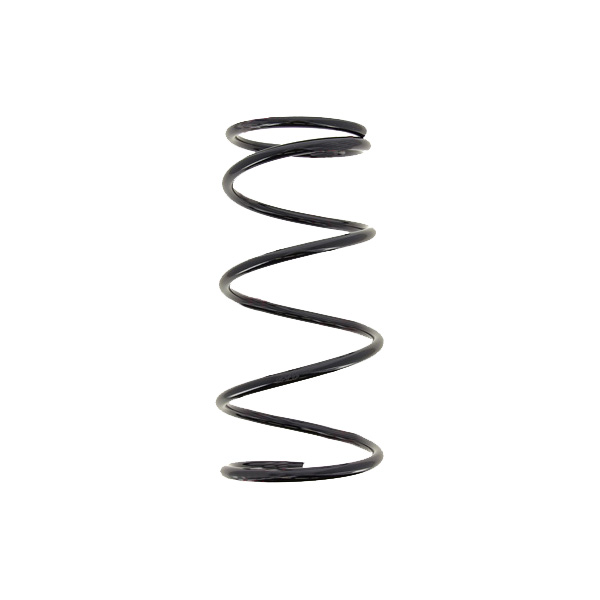 

Пружина Передней Подвески K-Flex Toyota Rav4 Ii (A20) (2000-2005) KYB арт. RG3575