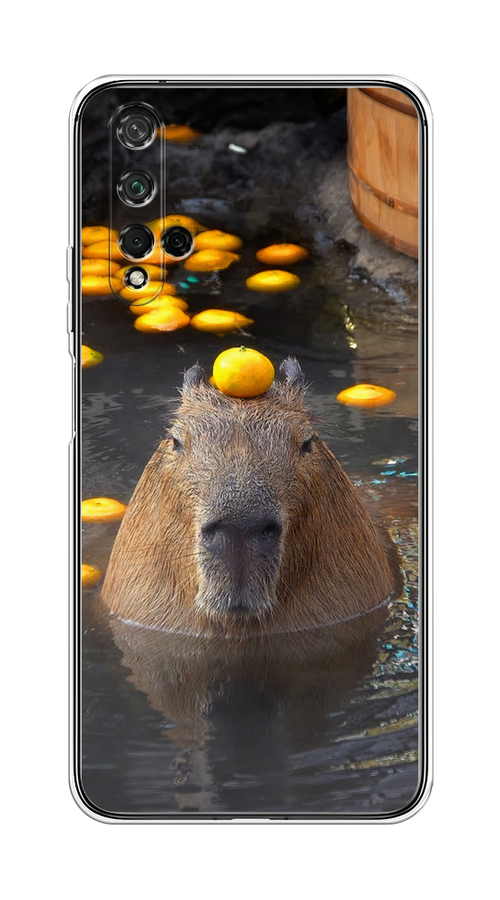

Чехол на Honor 20/Huawei Nova 5T "Капибара отдыхает", Коричневый;оранжевый;серый, 610550-1