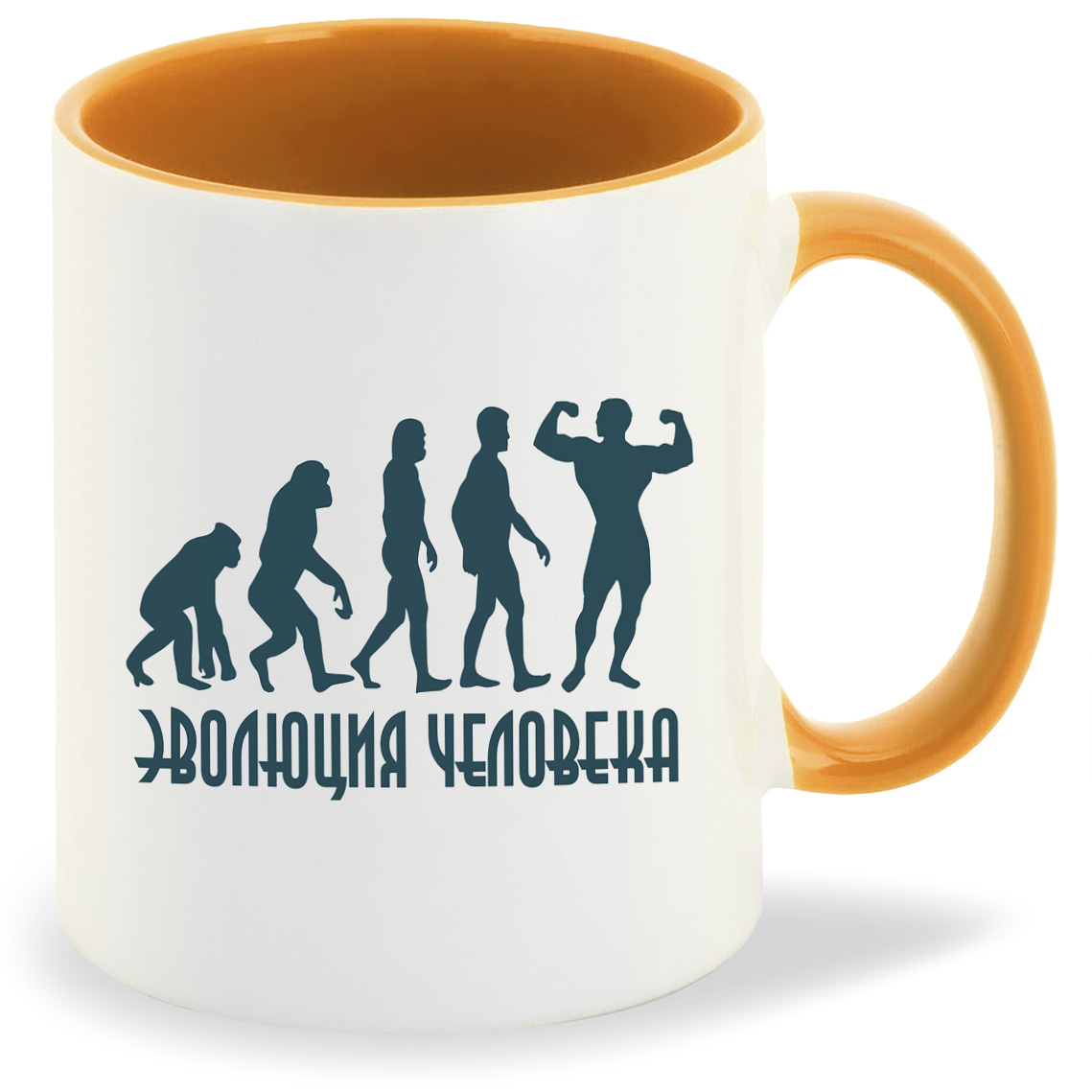 

Кружка CoolPodarok эволюция человека спорт, эволюция человека спорт