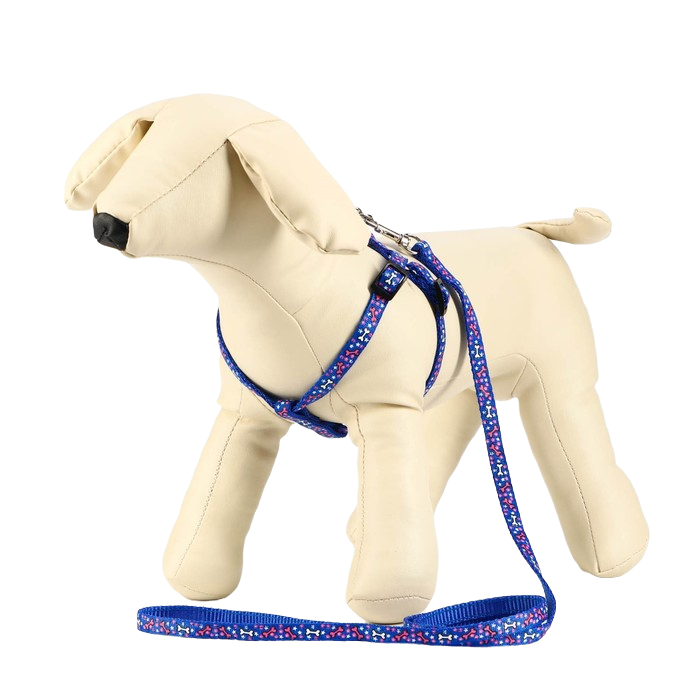 

Комплект Пижон Звёздные косточки, ширина 1 см, поводок 120 см, шлейка 23-35 см, синий