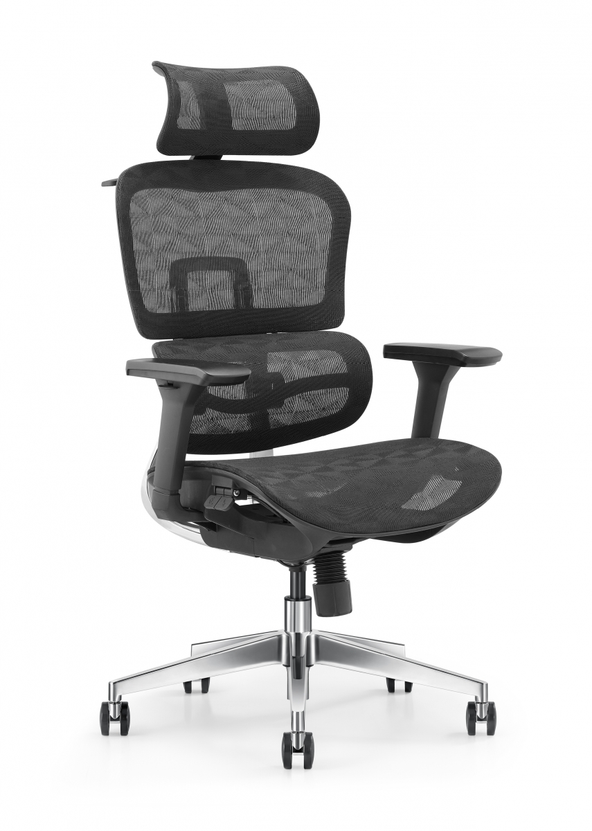 

Кресло эргономичное Expert Ergo Sail LBH01 Black, Черный, SAIL LBH01 BLACK