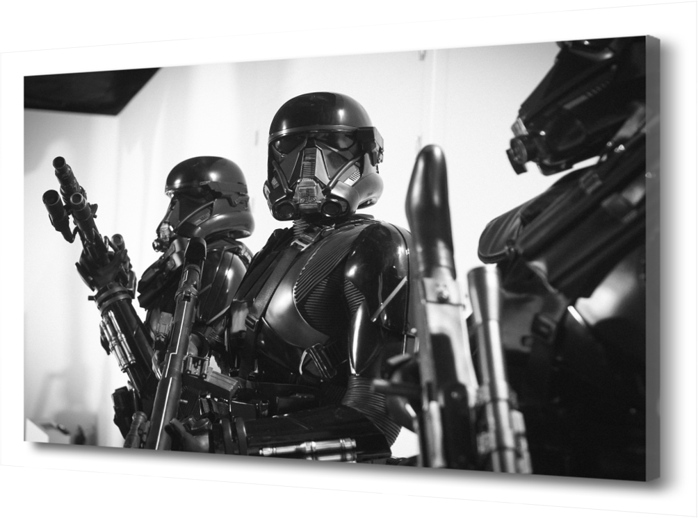 

Картина на холсте Фазма PRC-1139 (60x40см). Натуральный холст
