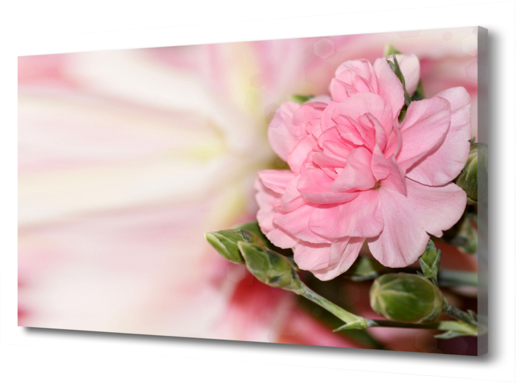 

Большая картина на холсте Цветы. Camellia Closeup Pink PRC-202 (120x80см)