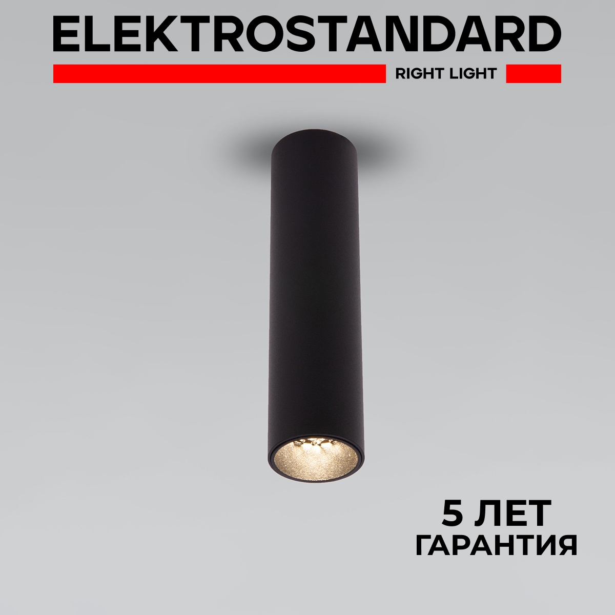 

Накладной потолочный LED светильник Elektrostandard Pika 25031/LED 6W 4200К черный, Pika