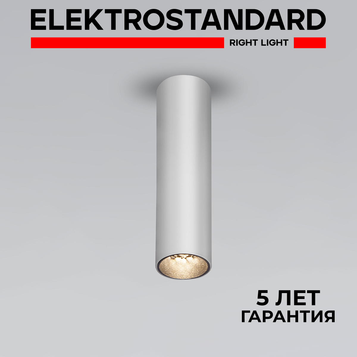 

Накладной потолочный LED светильник Elektrostandard Pika 25031/LED 6W 4200К серебро, Pika