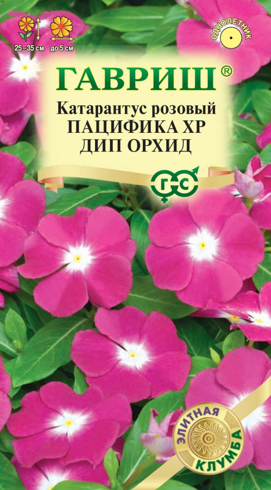 

Семена катарантус Пацифика XP Дип Орхид Гавриш 1071858763-10 1 уп.