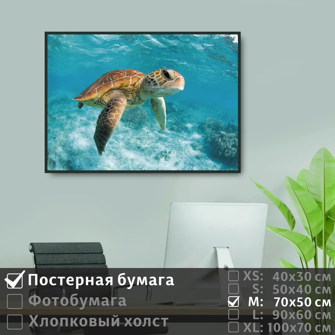 

Постер на стену ПолиЦентр Черепаха под водой в океане 70х50 см, ЧерепахаПодВодойВОкеане