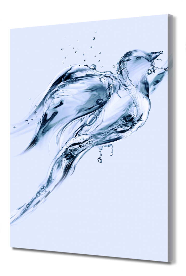 

Большая картина на холсте Птица PRC-588 (80x120см). Натуральный холст