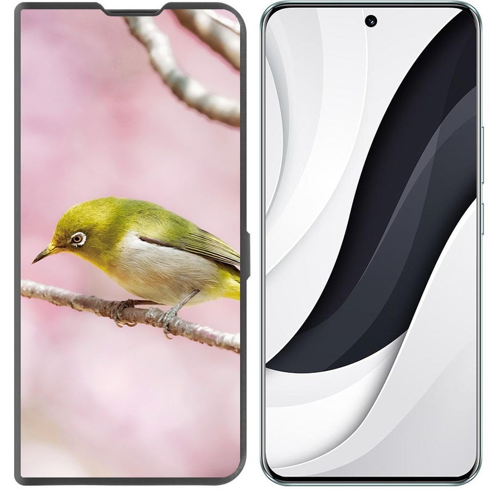 

Чехол-книжка Krutoff Eco Book для Honor 90 Японская белоглазка (черный)