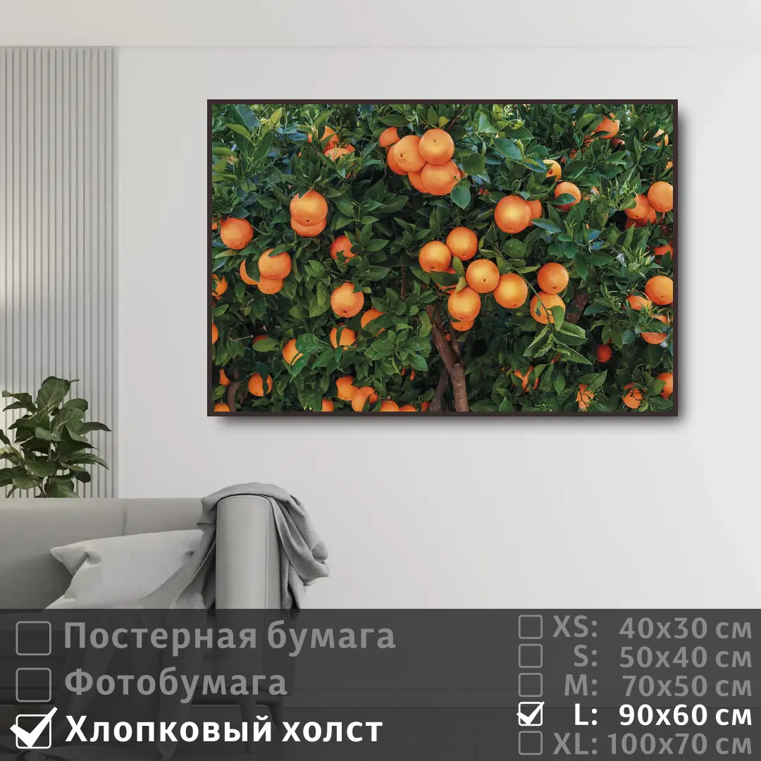 

Постер на холсте ПолиЦентр Испанские апельсины 90х60 см, ИспанскиеАпельсины